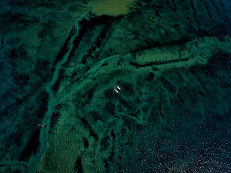 Drone captures paddleboarders exploring calm waters near Exmouth, UK. A scenic view of lush green sea patterns.