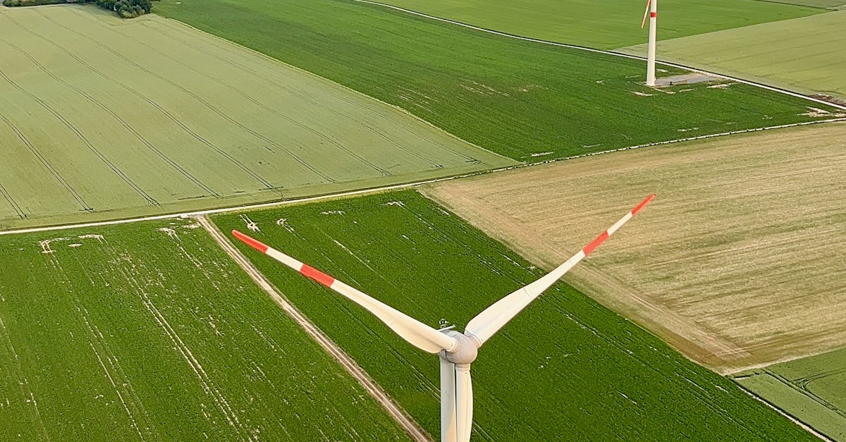 競零再生科技於高雄臨海產業園區隆重開幕 綠能產業新里程碑
