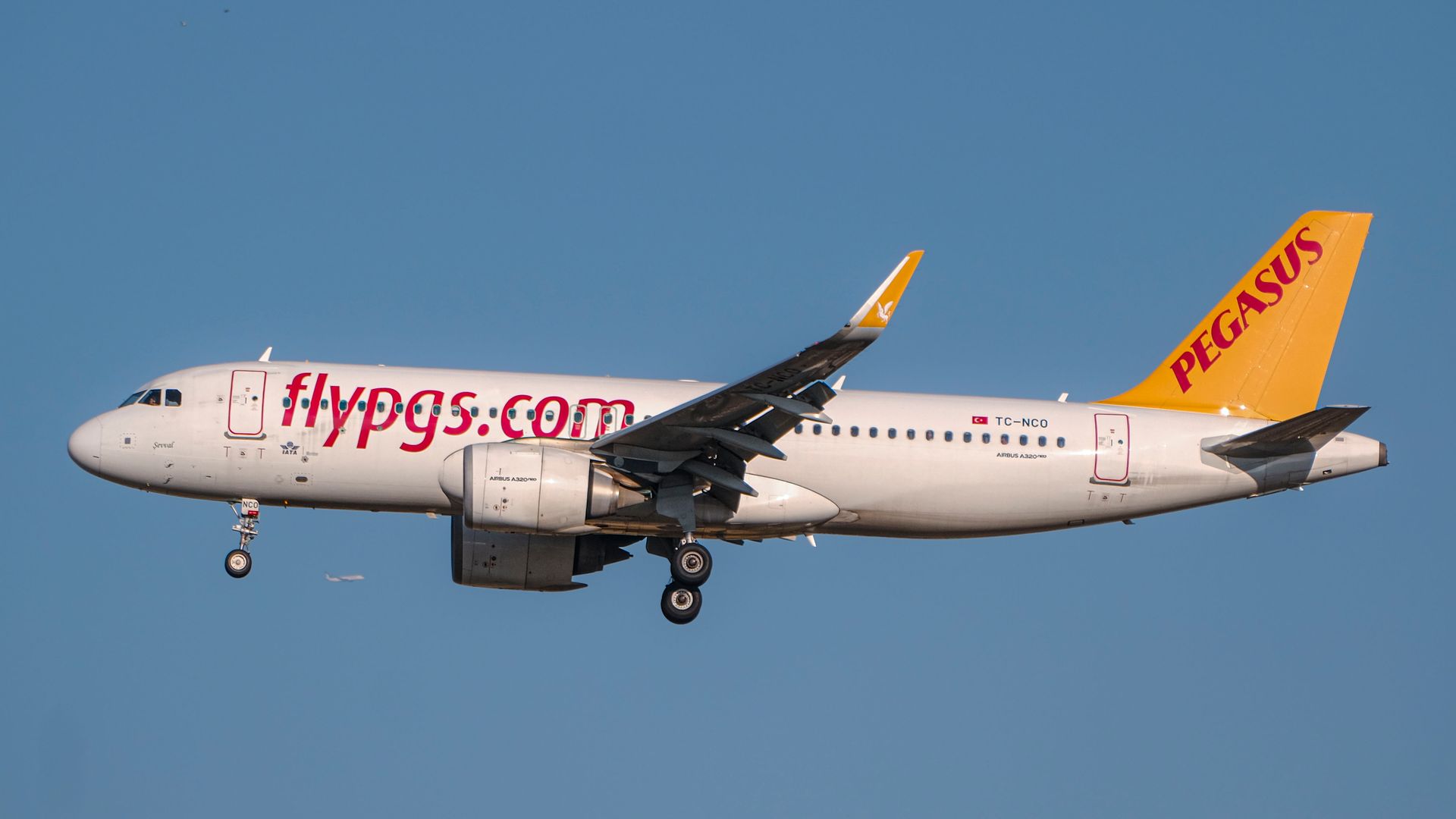 Side view of an Airbus A320 Pegasus Airlines aircraft in flight against a clear sky.