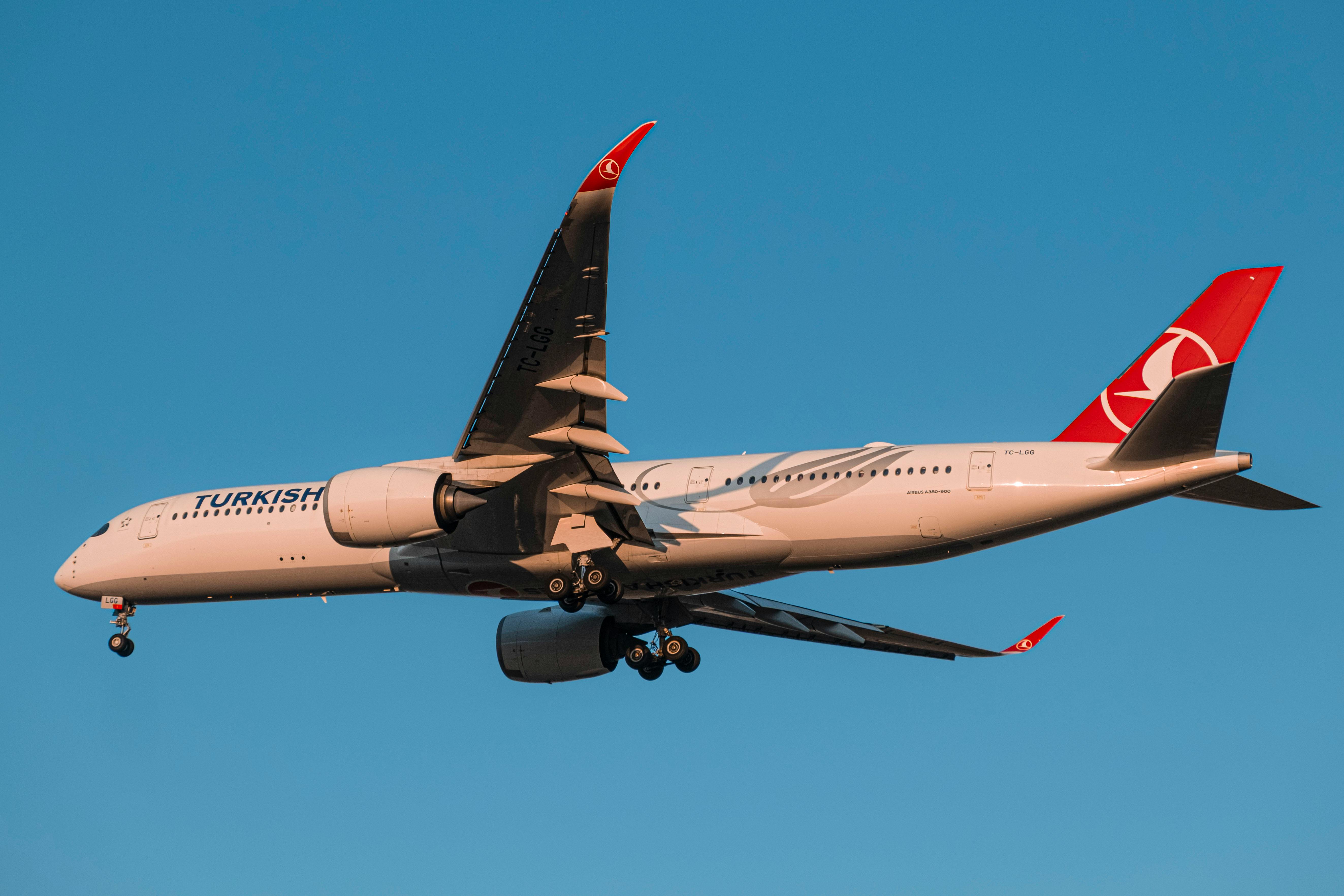 The 5 best airline credit cards with annual fees of $150 or less — Photo by Necati Ömer Karpuzoğlu on Pexels