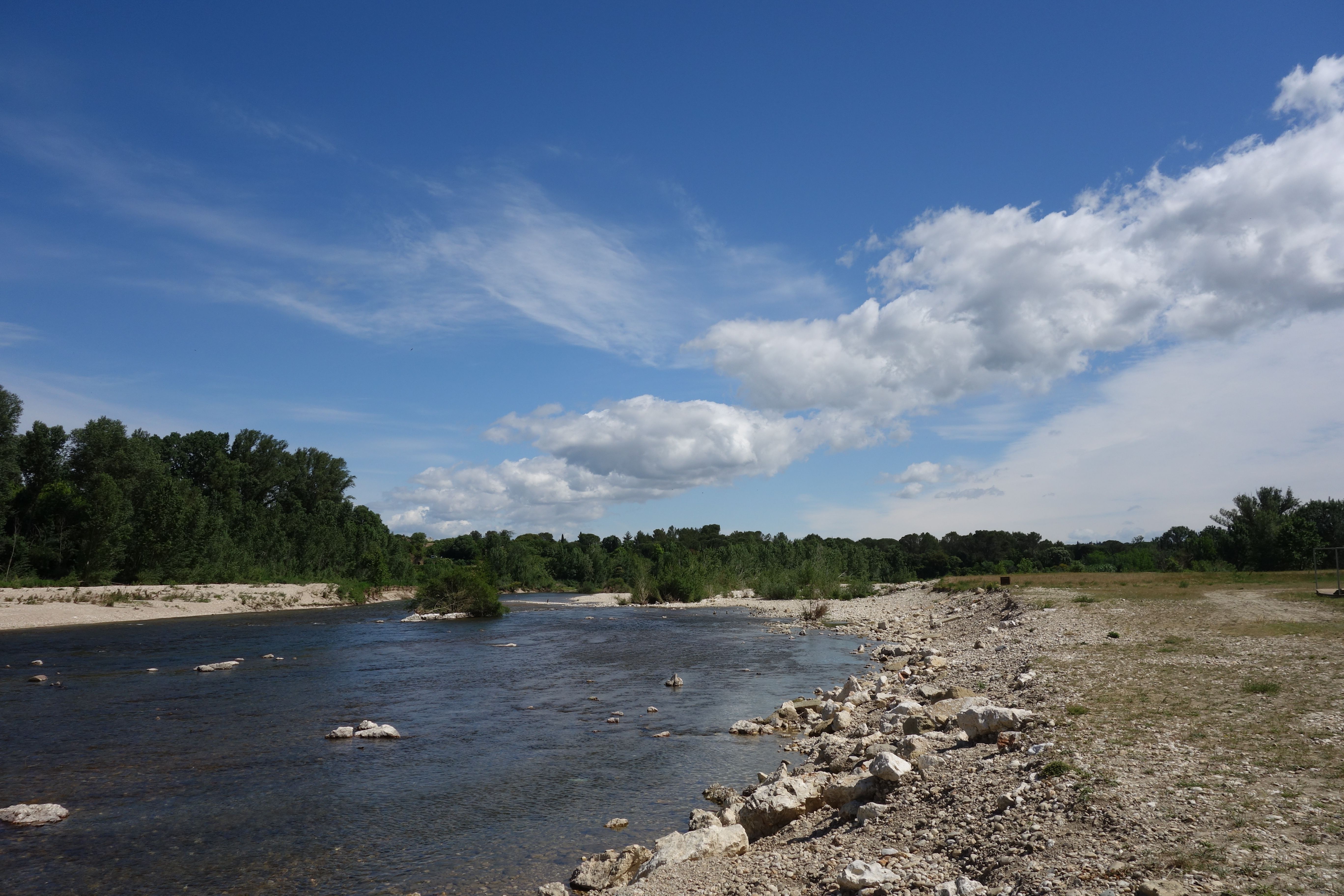 Serene Riverbank Under Clear Blue Sky · Free Stock Photo