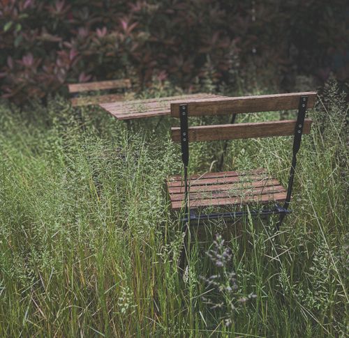 Free Abandoned wooden chairs amidst tall grass create a rustic garden scene. Stock Photo