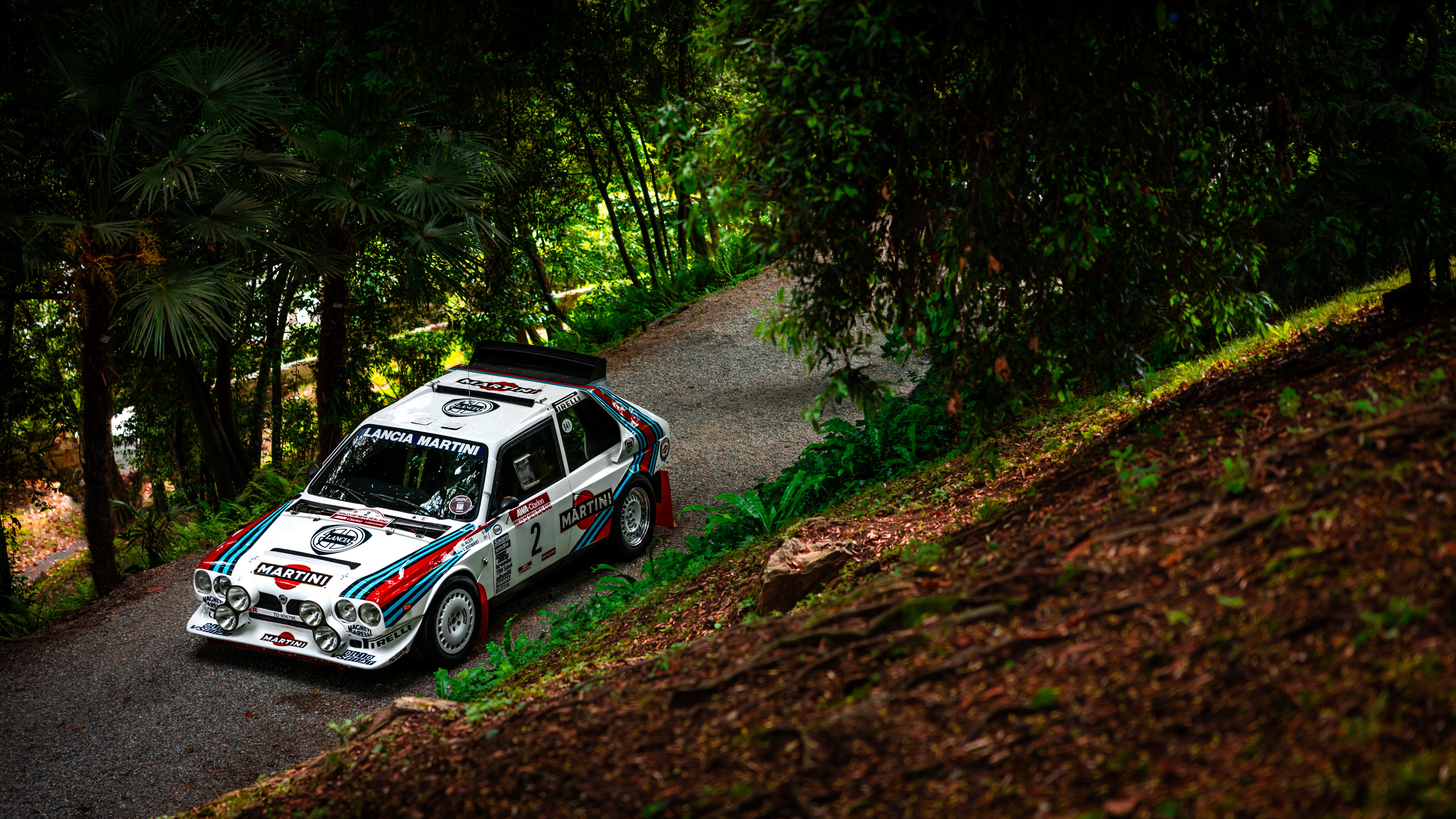 Classic Rally Car on Scenic Forest Road · Free Stock Photo