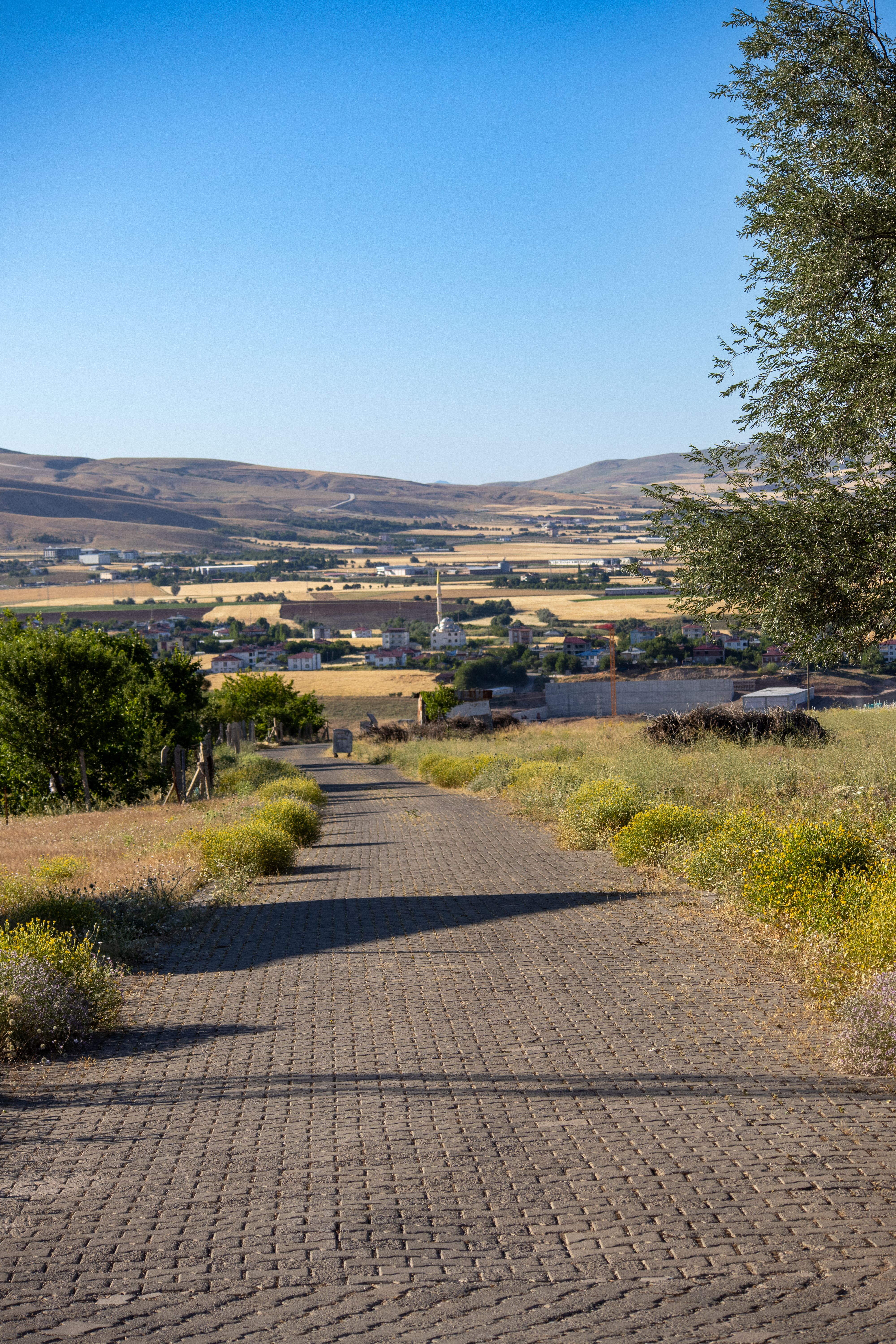Scenic Rural Pathway in Kovancılar, Türkiye · Free Stock Photo