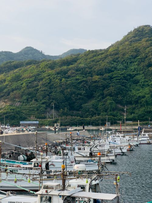 Free Fishing boats docked at a scenic port with lush green hills in the background. Stock Photo