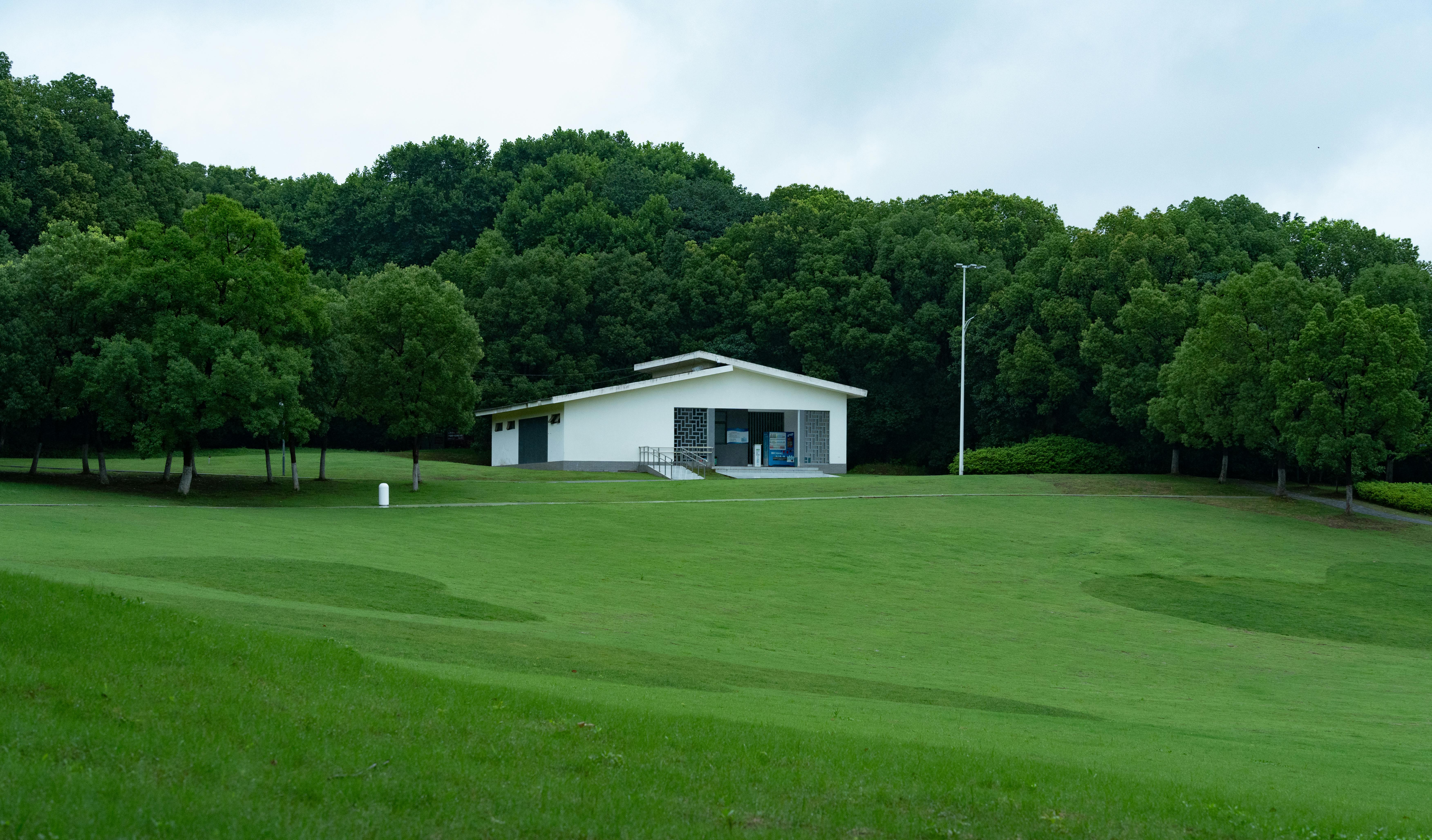 Building a Strong Community Identity for Lasting Connections