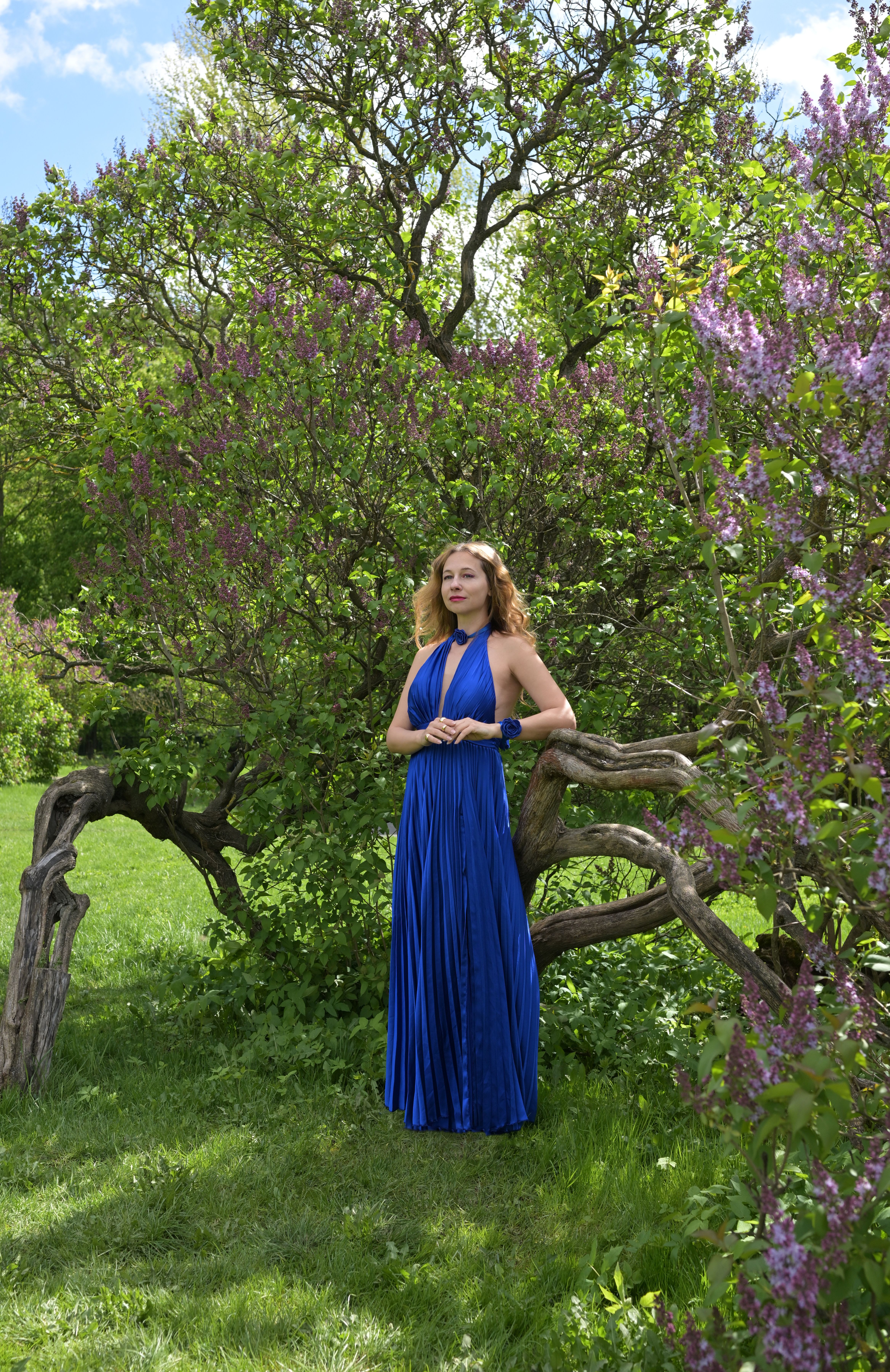 Woman in Blue Dress Surrounded by Blooming Lilacs · Free Stock Photo