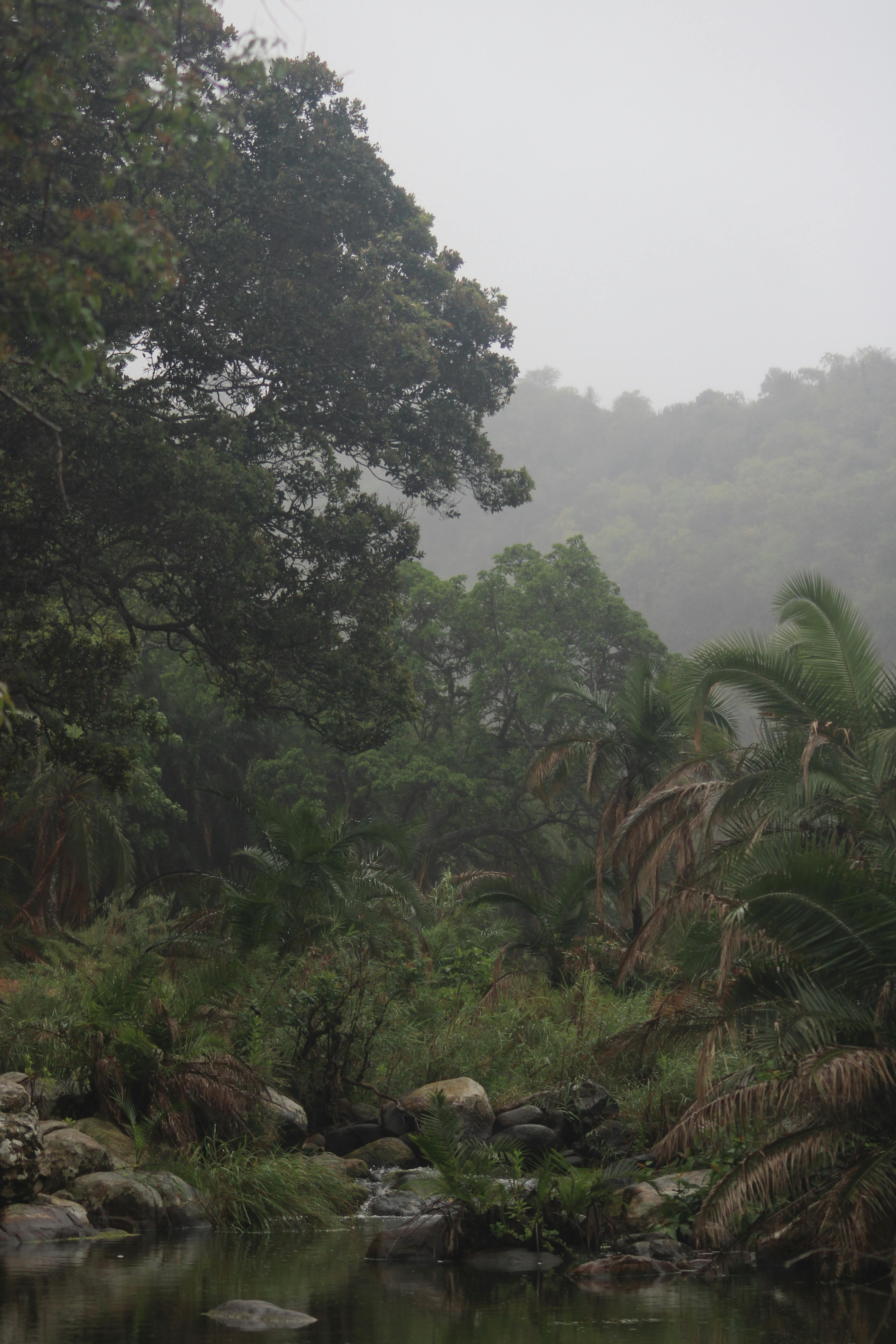 Niassa Reserve