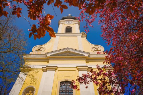 Free Holy Spring Stock Photo