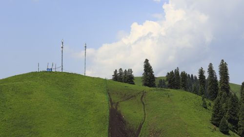 Free Lush green hill featuring communication towers and dense pine trees under a bright sky. Stock Photo