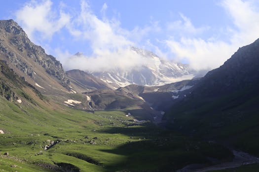 Lush green valley with majestic snow-capped mountains under a clear blue sky.
