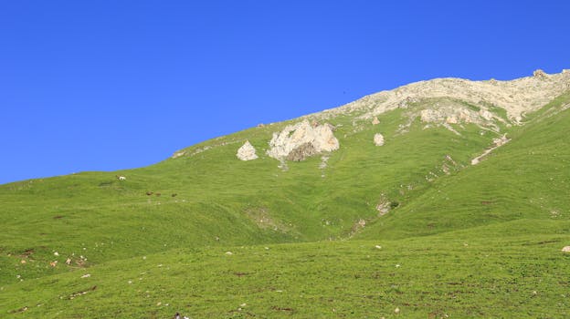 Vibrant green hillside with rock formations under a bright blue sky, perfect for nature lovers.