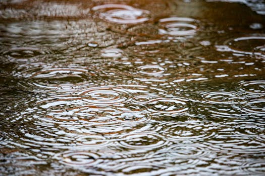 Close-up of ripples in a rain puddle creating abstract patterns in Belém, Brazil.