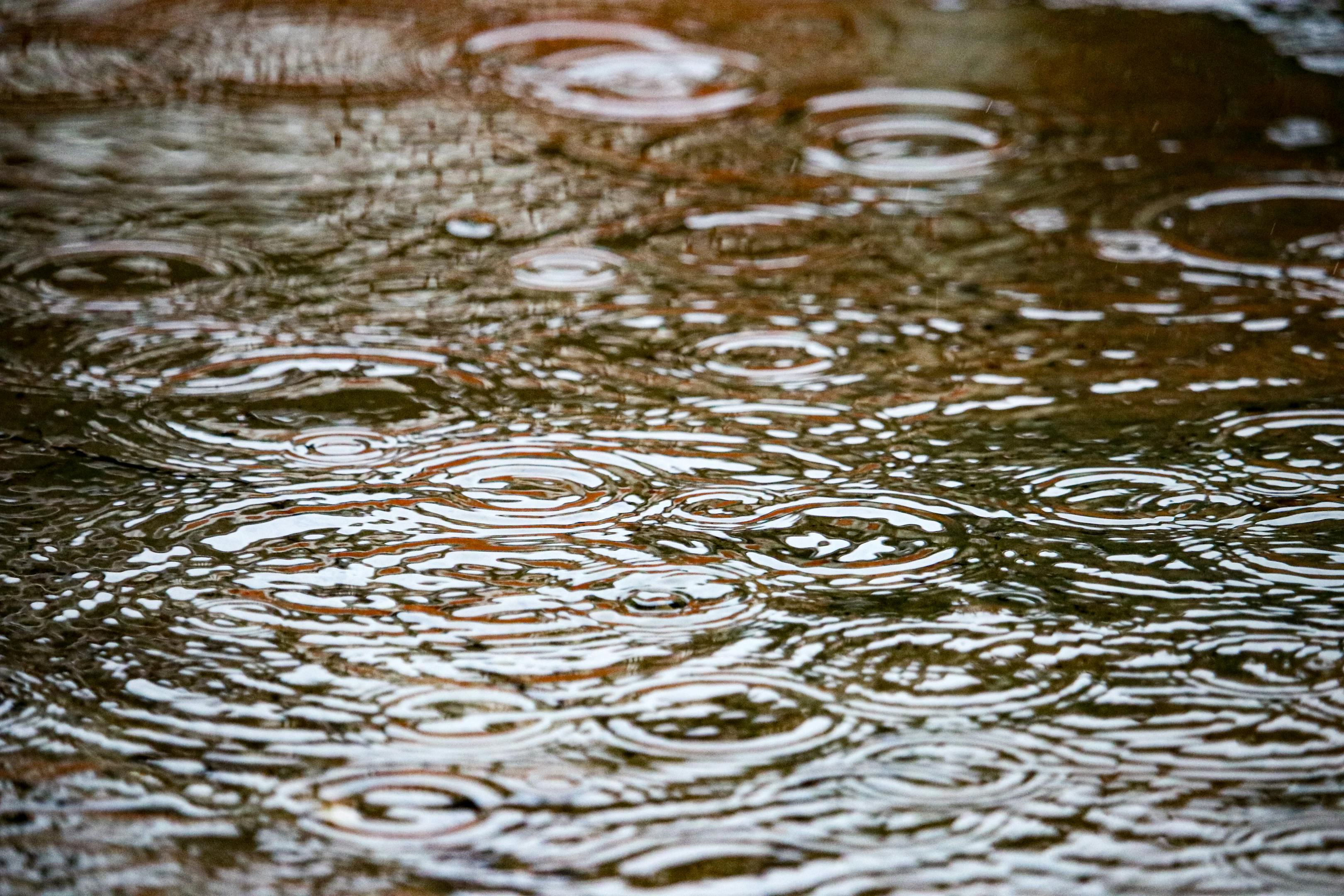 grátis Close-up de ondulações em uma poça de chuva criando padrões abstratos em Belém, Brasil. Foto profissional