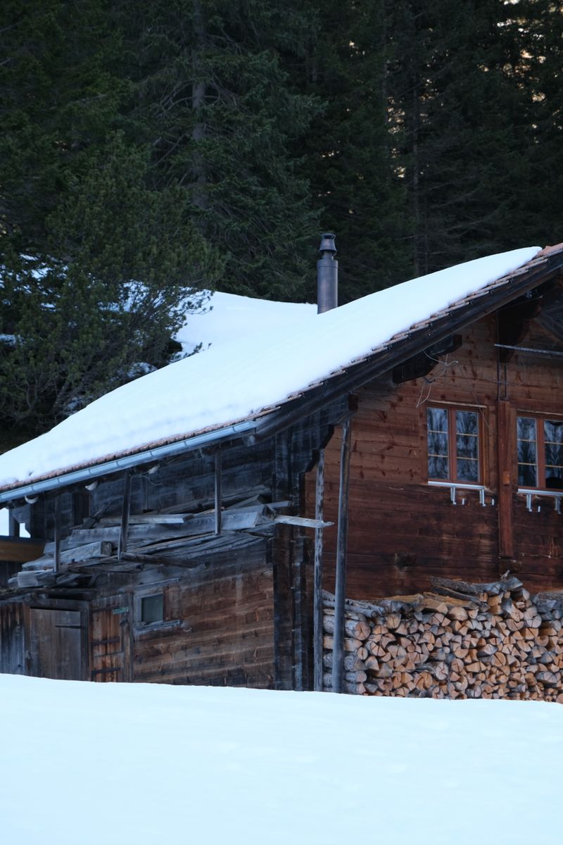 A weathered log house with a snow-laden roof and a stack of firewood under the eaves