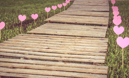 Free High Angle View of Plants on Wood Stock Photo