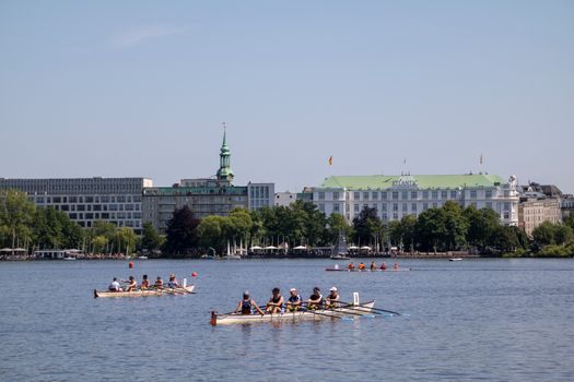 Rowing teams glide on Alster River with Hamburg's architectural skyline in the background under a clear summer sky.