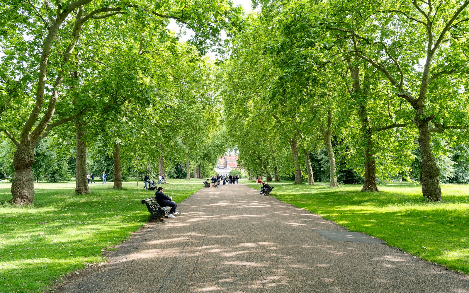 Chauffeur service in South Kensington, London