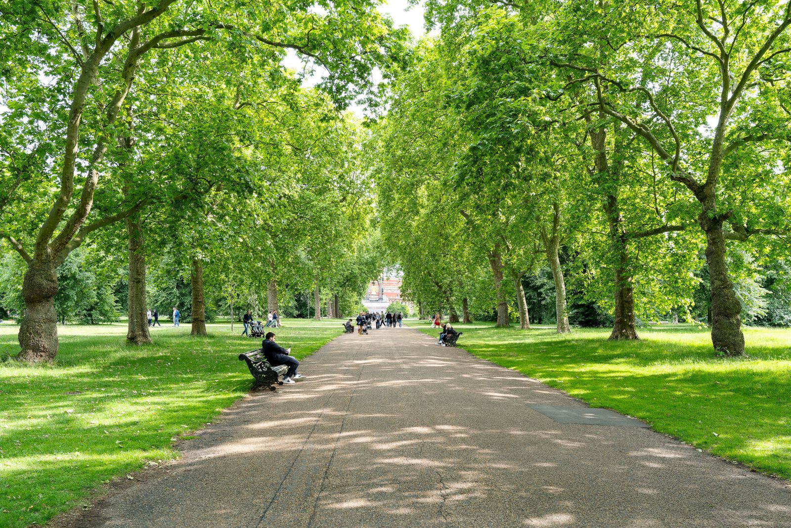 Winnipeg Communities With the Best Parks and Green Spaces