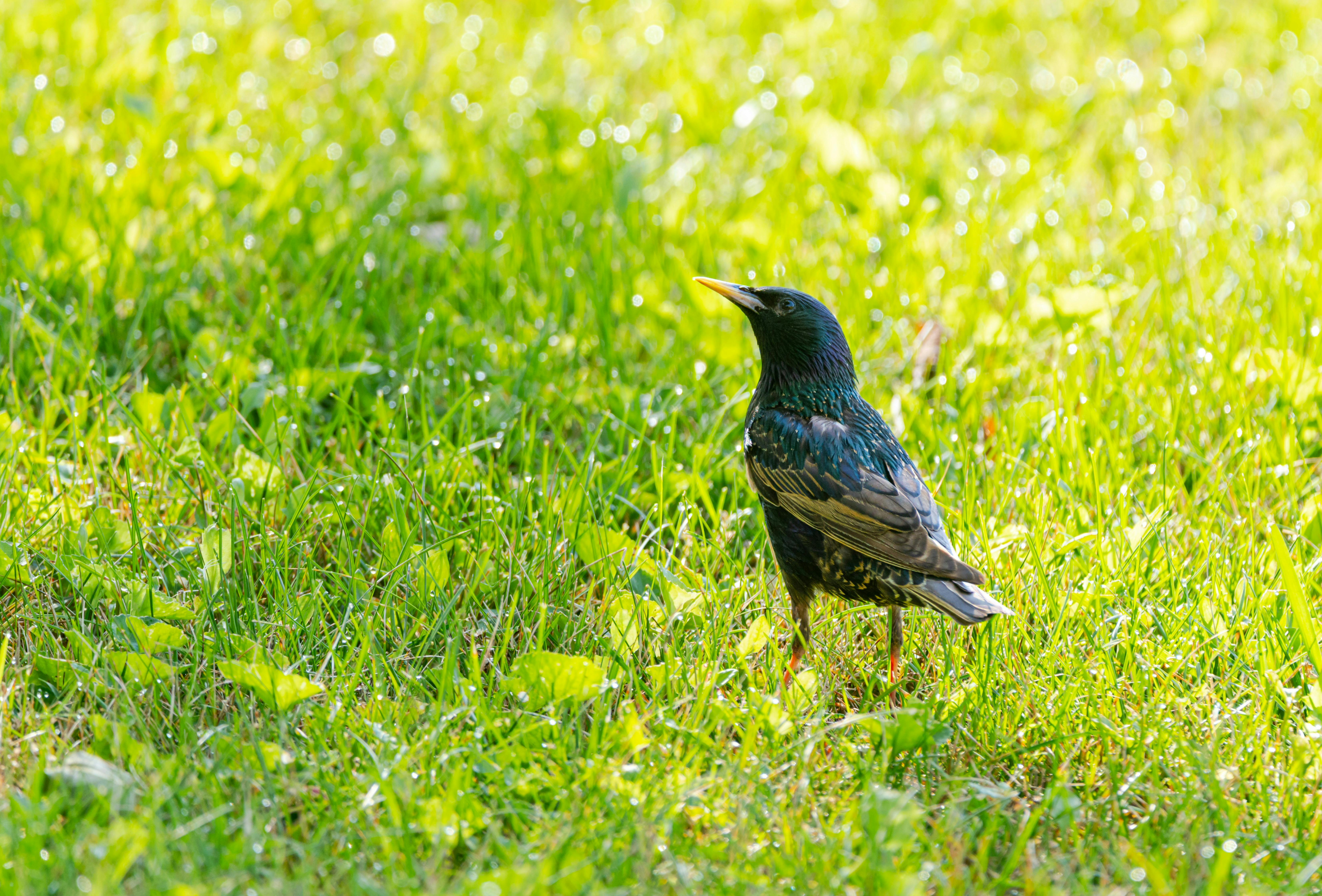 Mind Blowing Hacks You Won't Believe