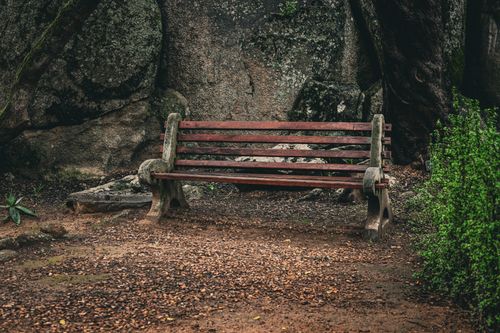 Free A weathered wooden bench set against a rocky, tree-lined forest backdrop, offering quiet solitude. Stock Photo