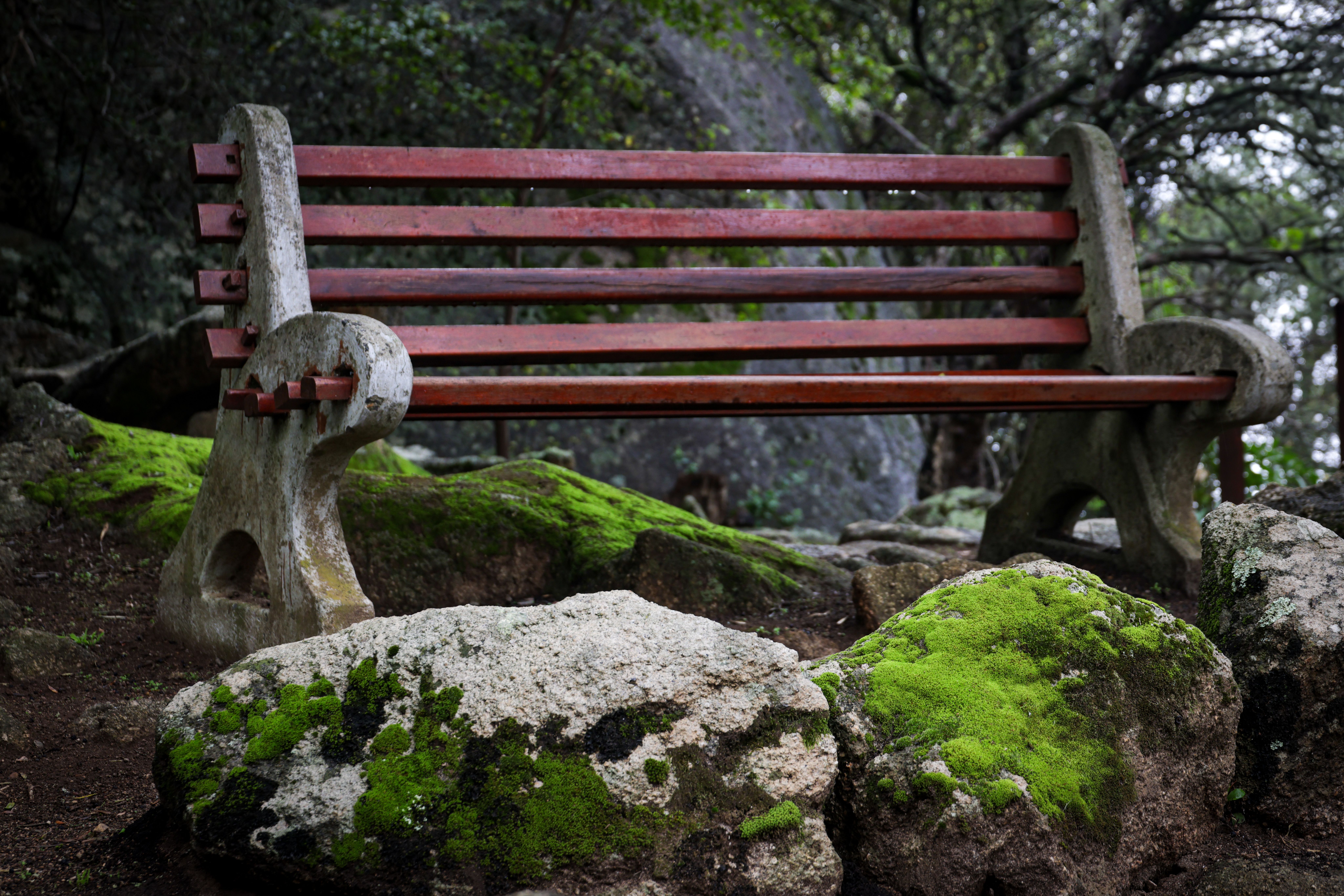 Hike or botanise in Fernkloof