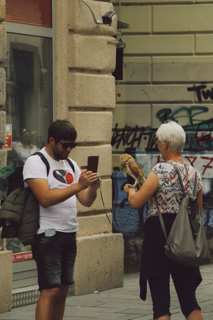 Beyond the Tourist Trail: Finding the Real Sarajevo Beyond the Tourist Trail: Finding the Real Sarajevo