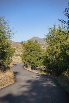 A winding rural road through lush greenery leading to a distant mountain under a clear blue sky.