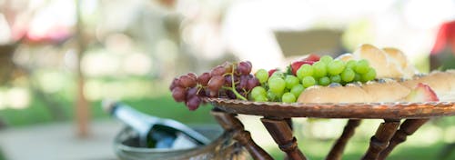 Free stock photo of fruit, nature, outdoors