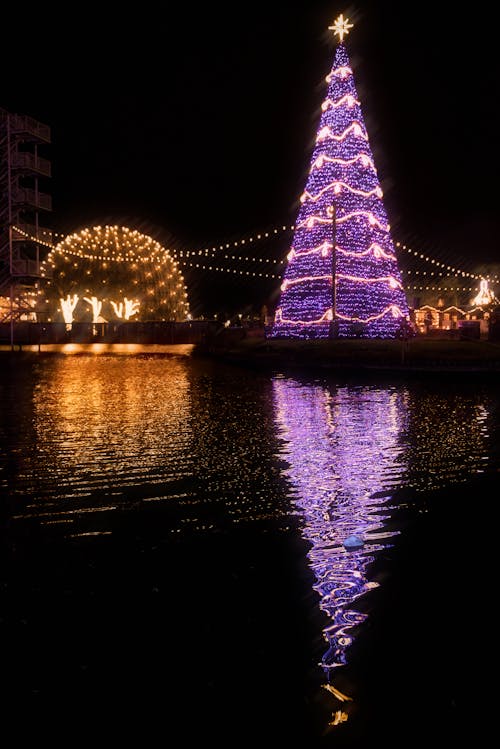 水域の横にある照明付きのクリスマスツリー