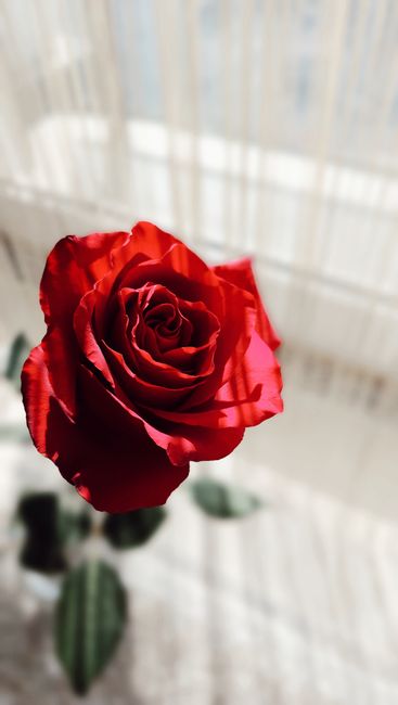 Keindahan Alam Nagekeo yang Memukau Keindahan Alam Nagekeo yang Memukau