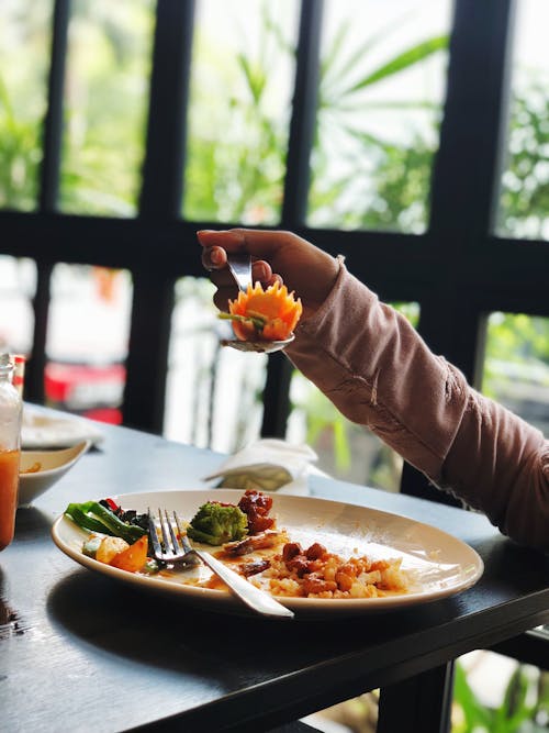 Free Plate of Food Stock Photo