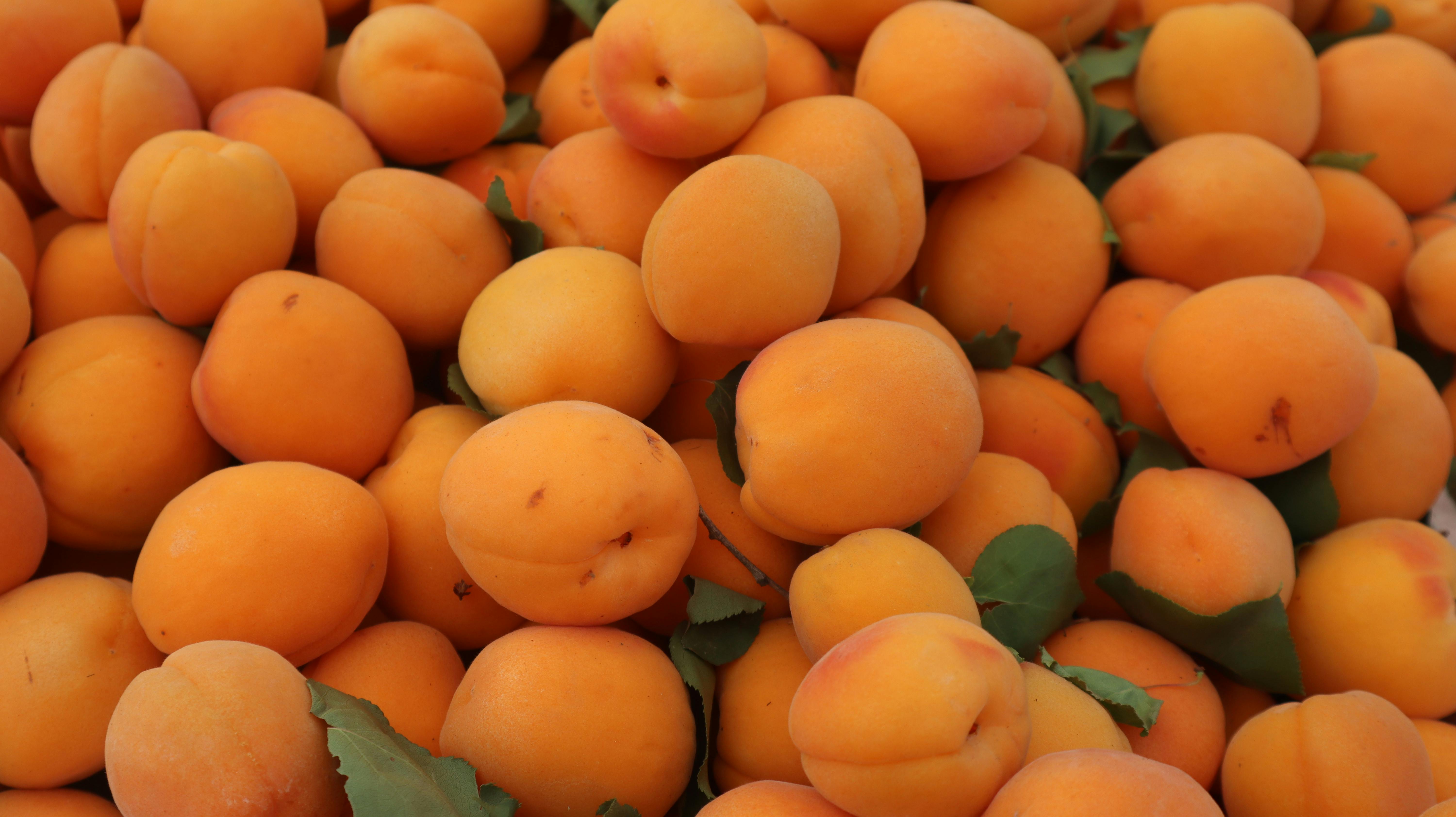 local California farmers market with summer fruit bounty - what fruit grow in summer