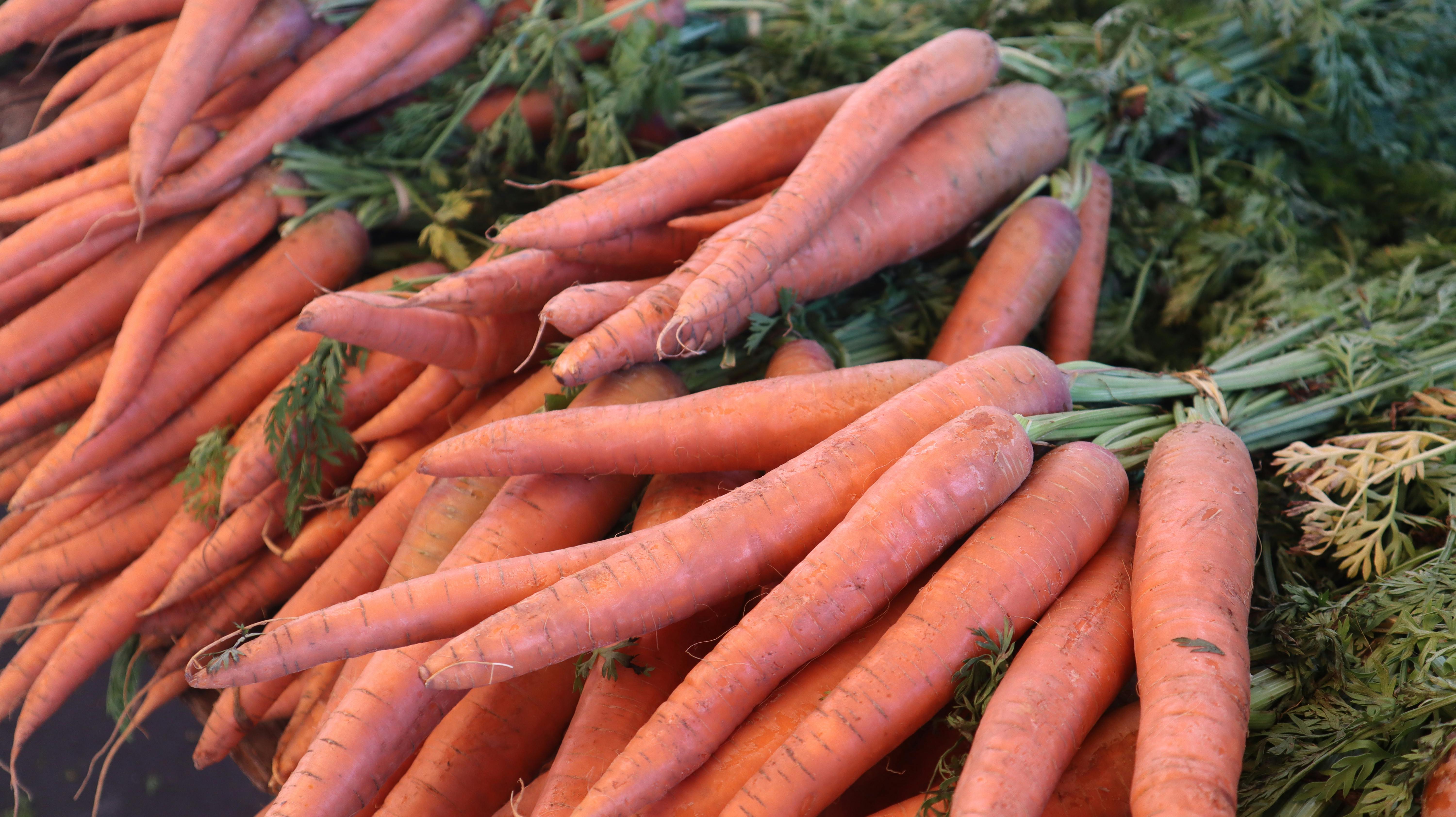 Carrots