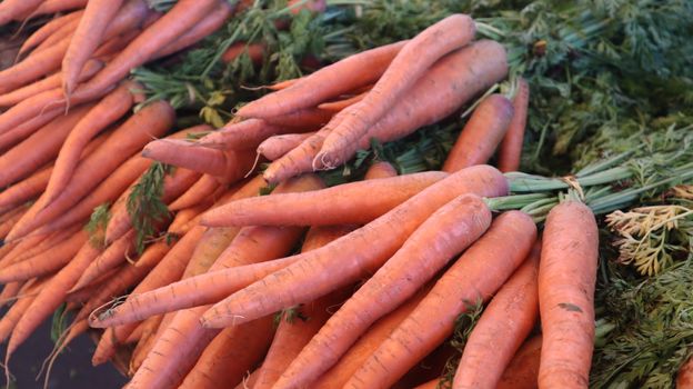 Carote biologiche dai colori vivaci esposte al mercato agricolo di Elk Grove, che mettono in risalto i prodotti freschi.