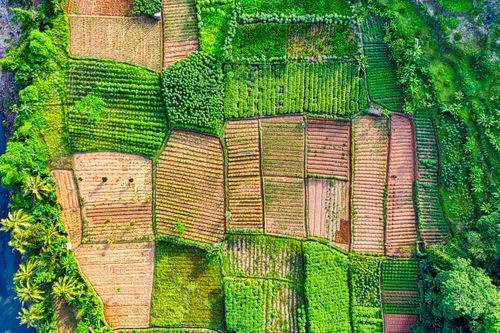 Free A vibrant aerial view of diverse farmland patches in West Java, Indonesia. Stock Photo