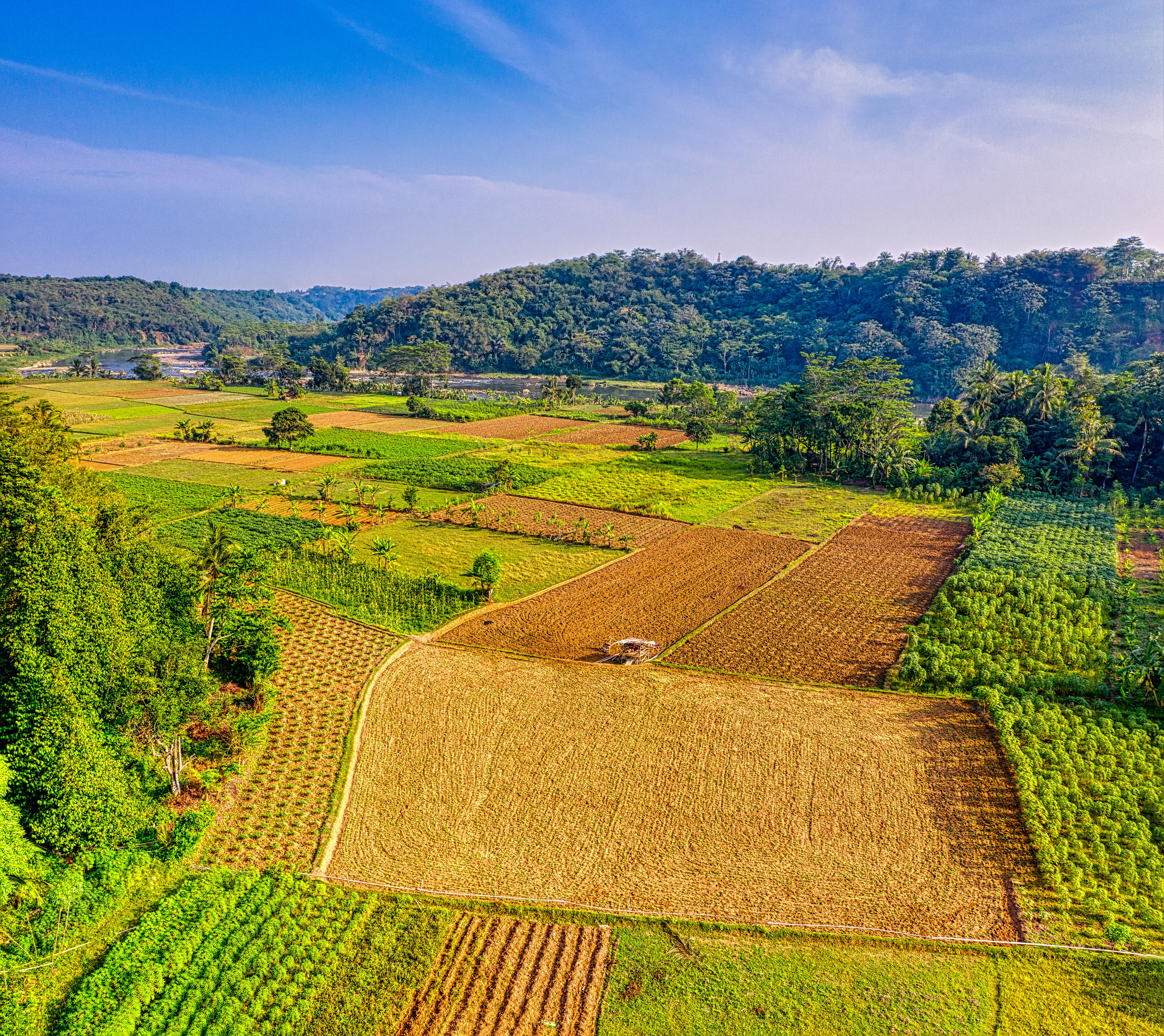 aerial photograph of farm field