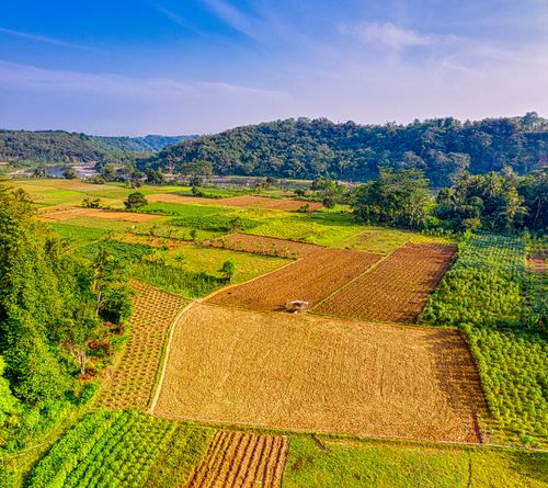 Free Stunning aerial view of lush farmland and rolling hills in West Java, Indonesia, under a clear blue sky. Stock Photo