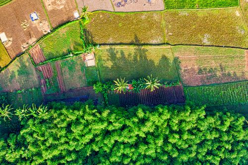 Free Stunning aerial view of lush green farmlands in West Java, Indonesia, showcasing beautiful agricultural patterns. Stock Photo