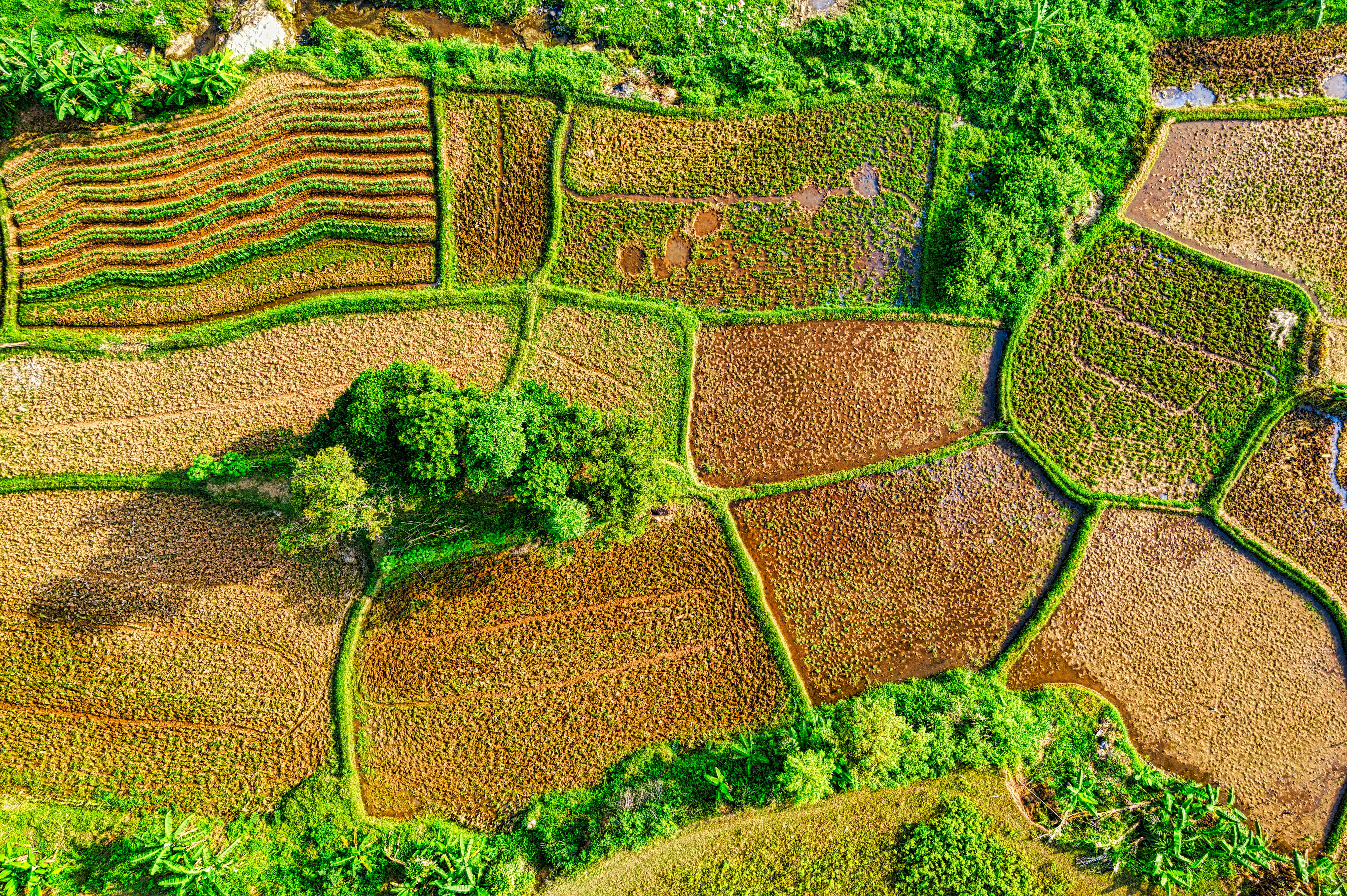 aerial photography of green fields