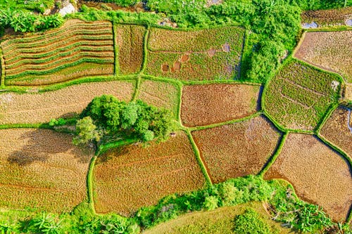 Fotografía Aérea De Campos Verdes