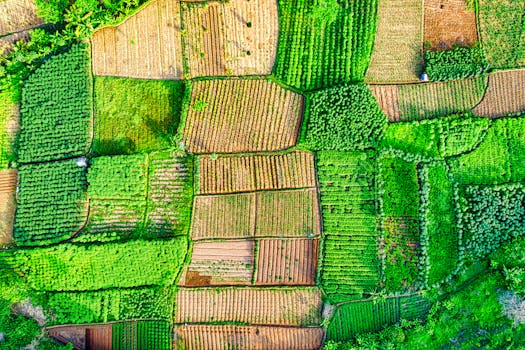 A stunning aerial shot showcasing diverse farmland patterns in West Java, Indonesia.