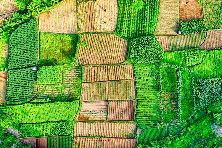 Aerial Photography Of Farmland