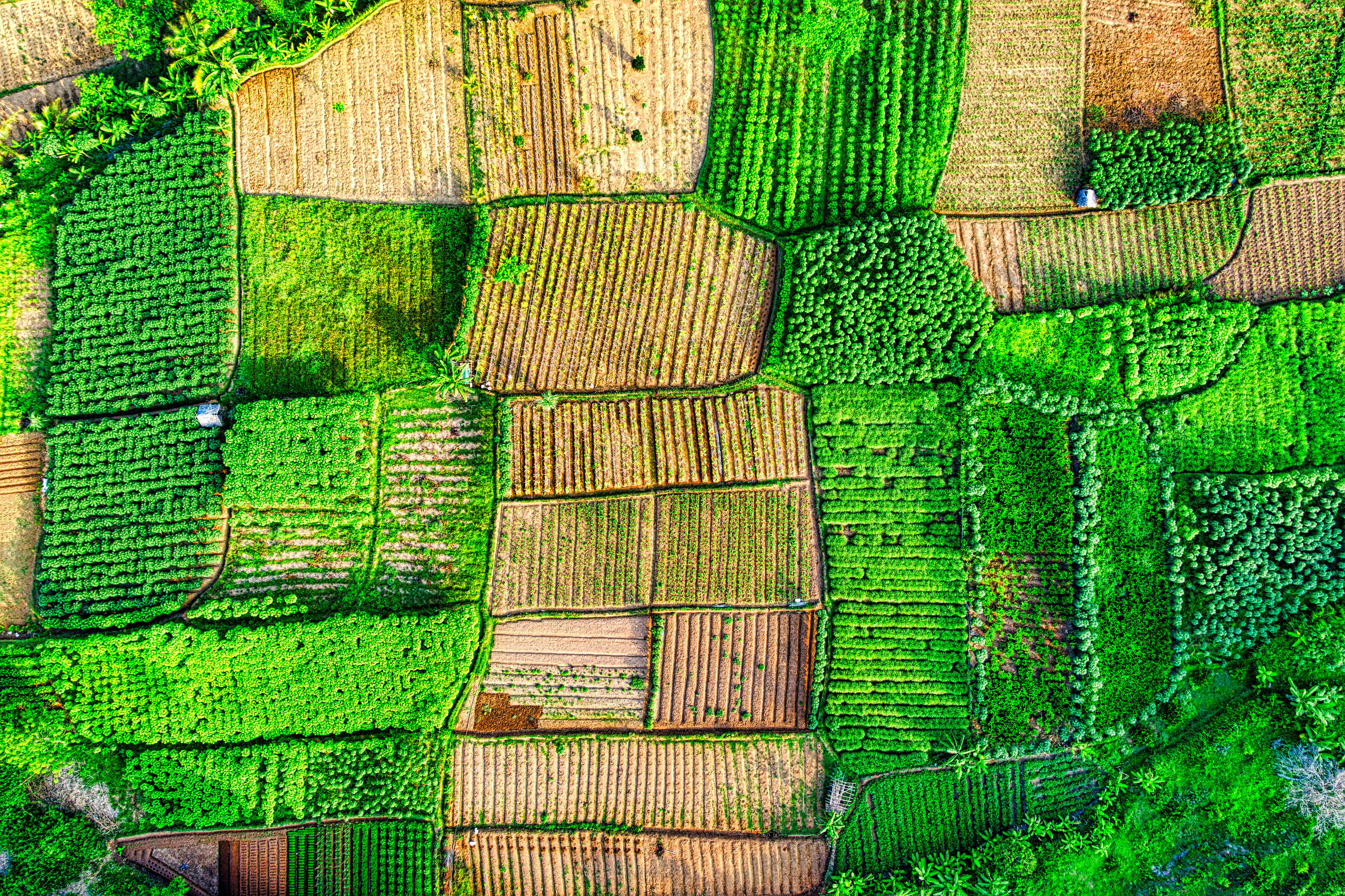 Aerial Photography of Farmland · Free Stock Photo