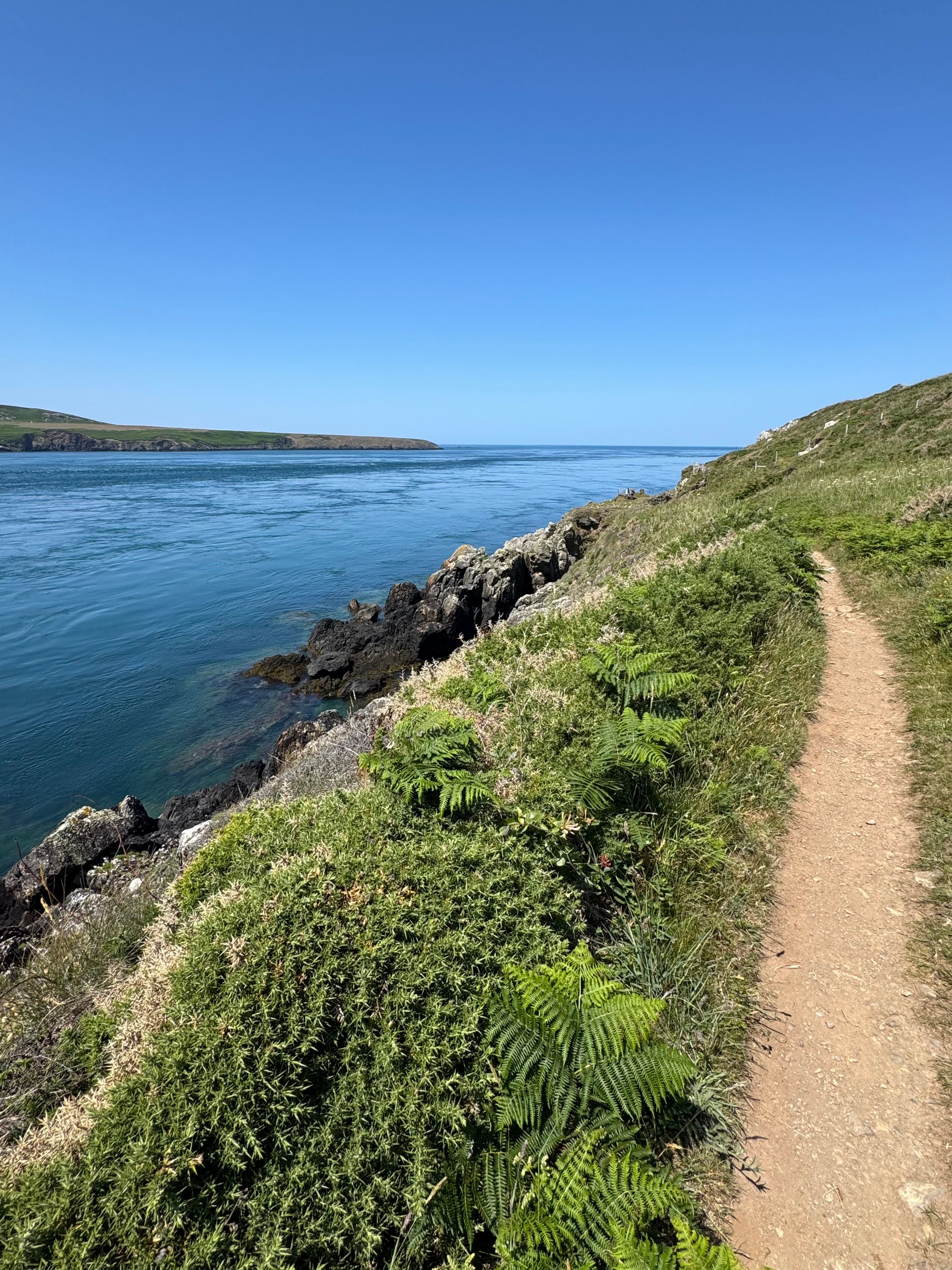 Coastal Path Photos, Download The BEST Free Coastal Path Stock Photos ...
