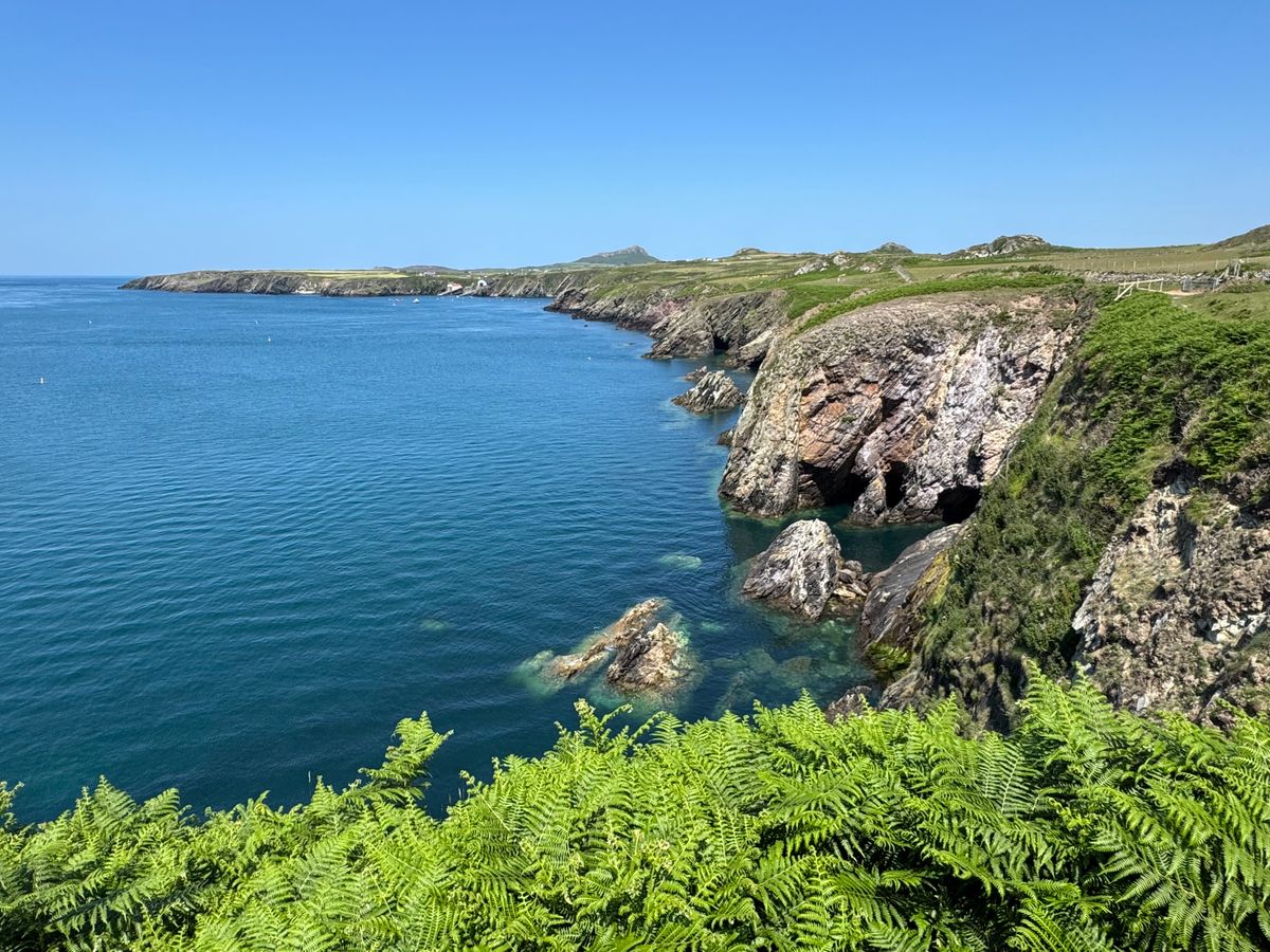 Peisaj de coastă din Pembrokeshire, vara