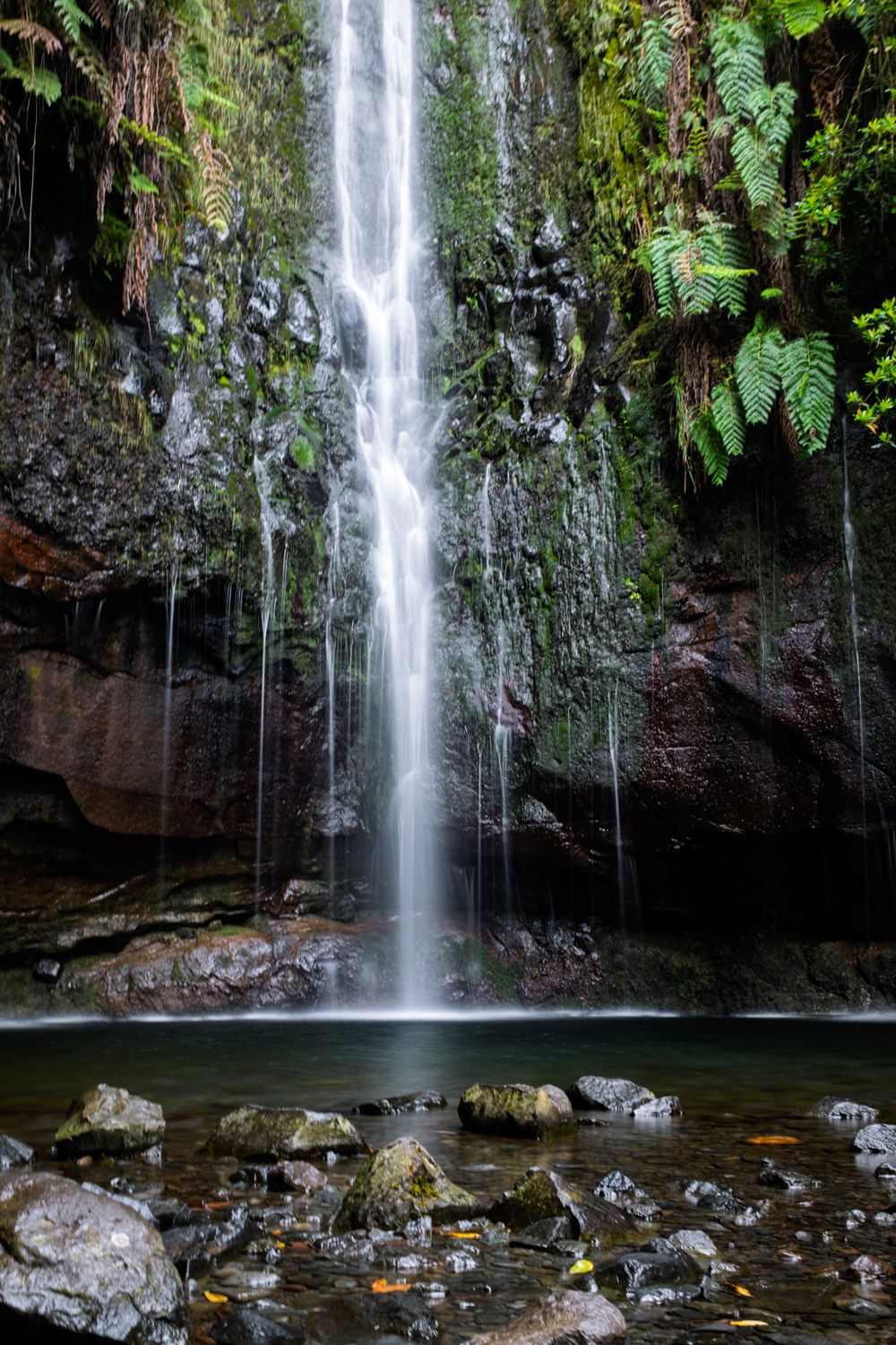 Cascadă înaltă căzând într-un perete verde din Madeira