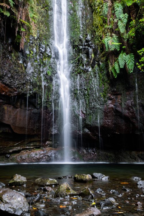 Free Serene waterfall cascading in lush Madeira forest, perfect for nature lovers. Stock Photo