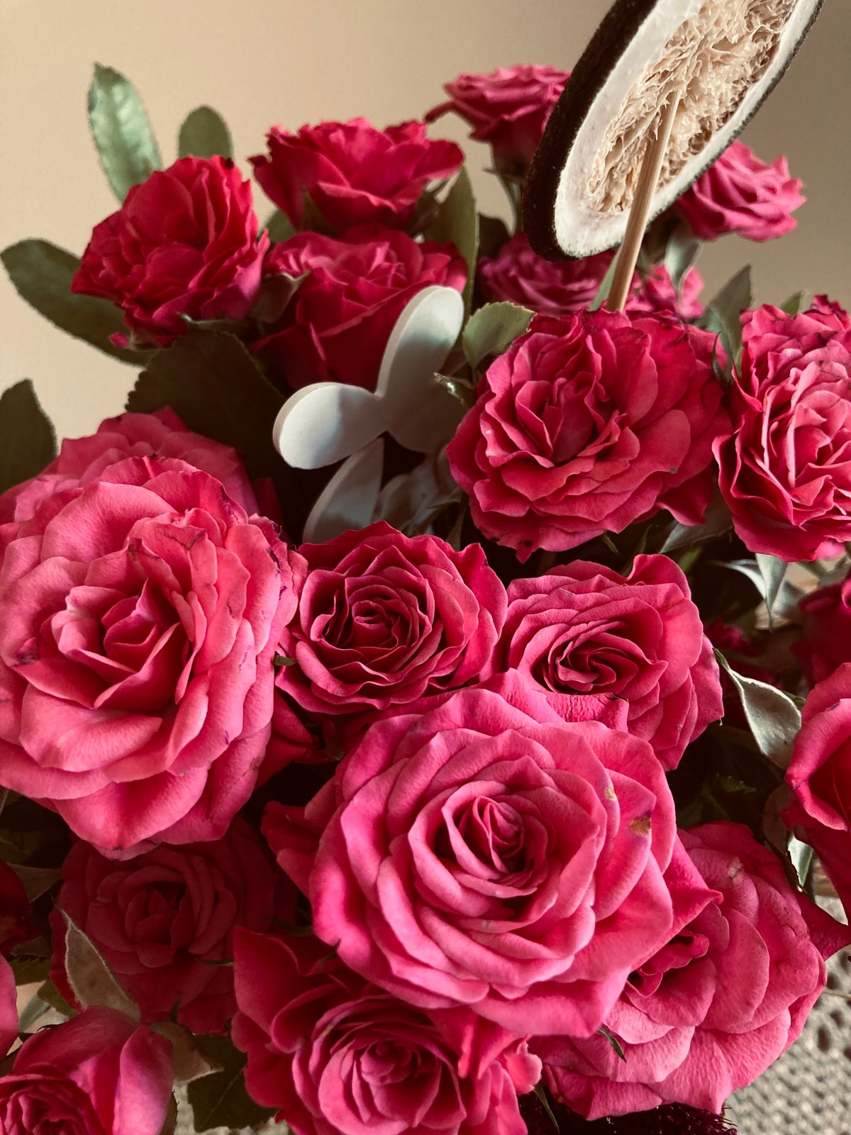 Rose Garden