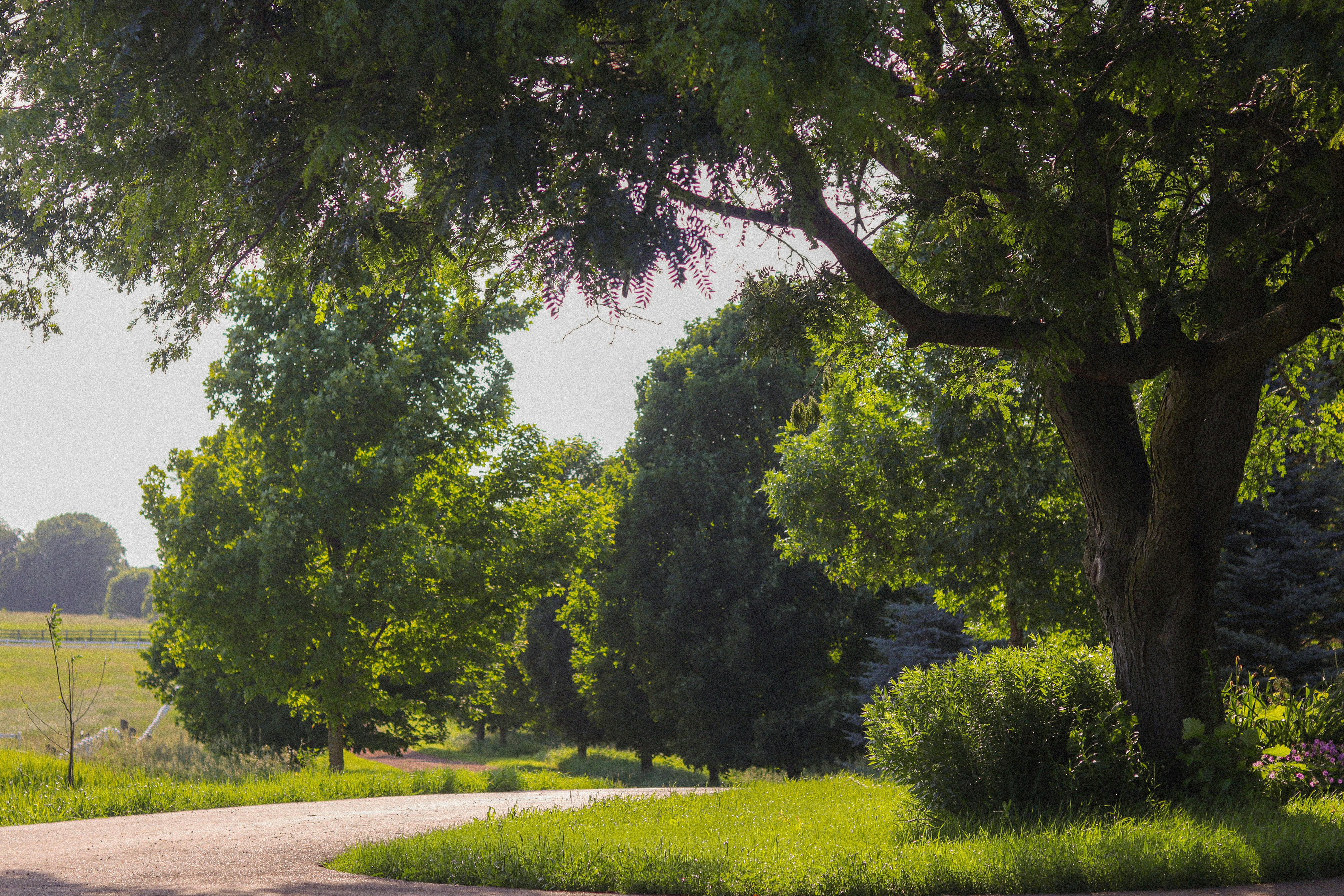 Bower, South Australia